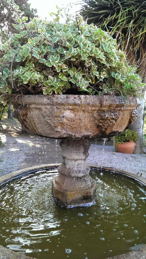 Rural El Poleo D&r Con Piscina Climatizada Privada Y Solarium Villa Pico de Viento